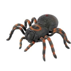 Tarantulas Valdoras Radijo Bangomis